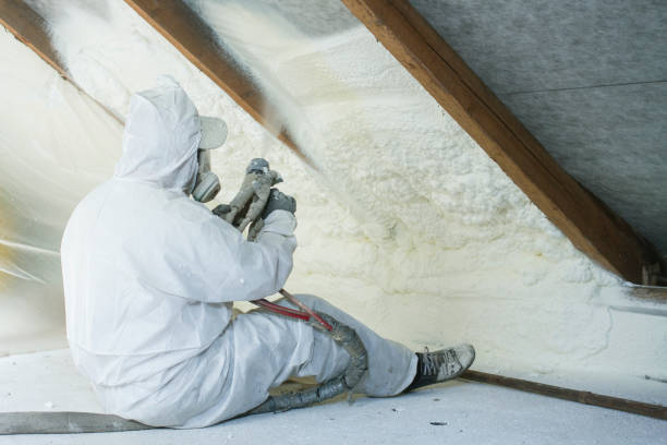 Types of Insulation We Offer in Lake Isabella, MI